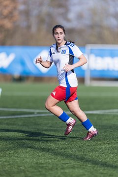Bild 129 - F Hamburger SV 3 - Blau-Weiss 96 : Ergebnis: 5:1